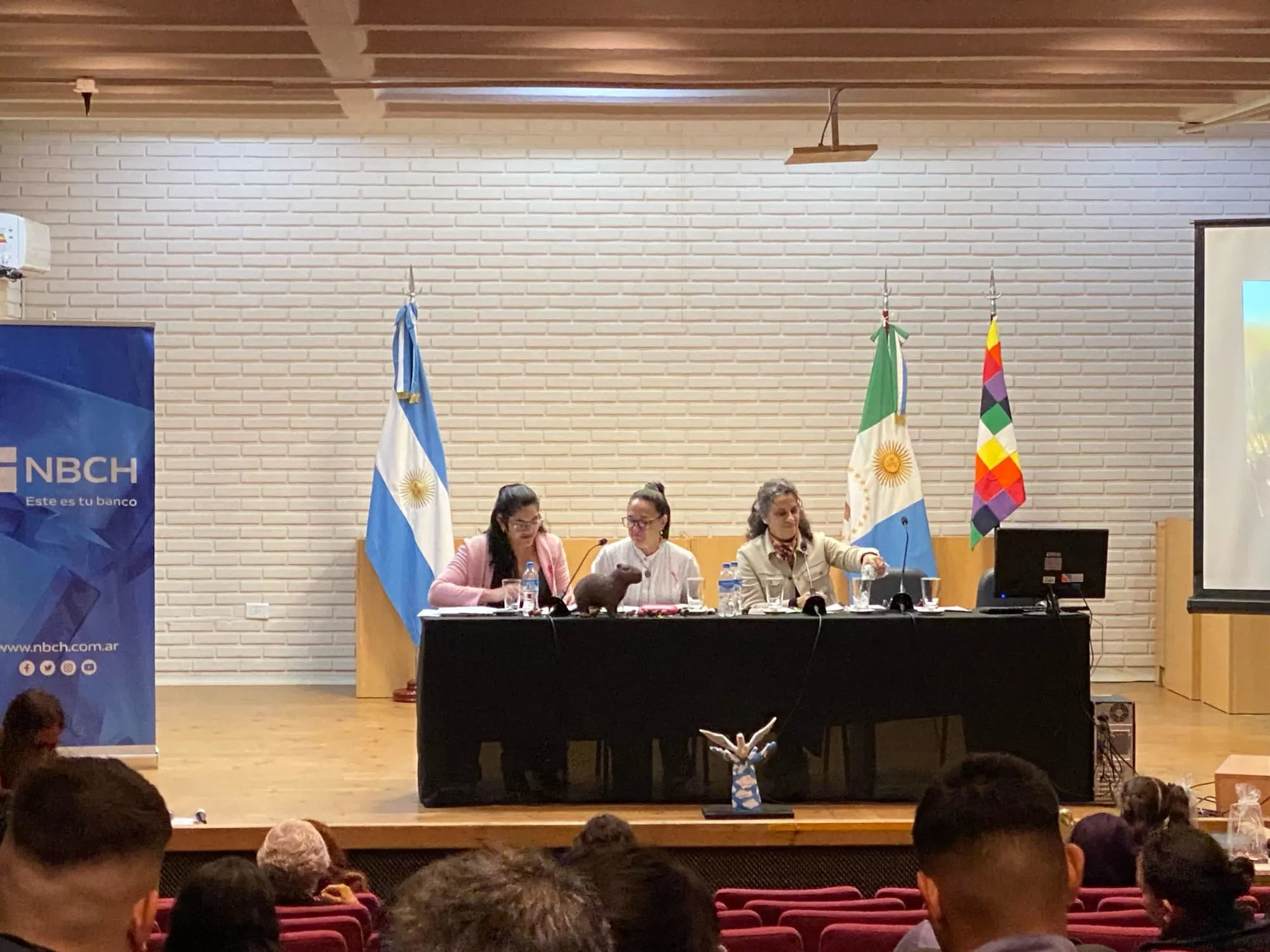 Tercer panel en donde participó la Licenciada en Psicopedagogía Mariana Sampaolesi, Presidente del Colegio de Profesionales de la psicopedagogía de la Provincia del Chaco