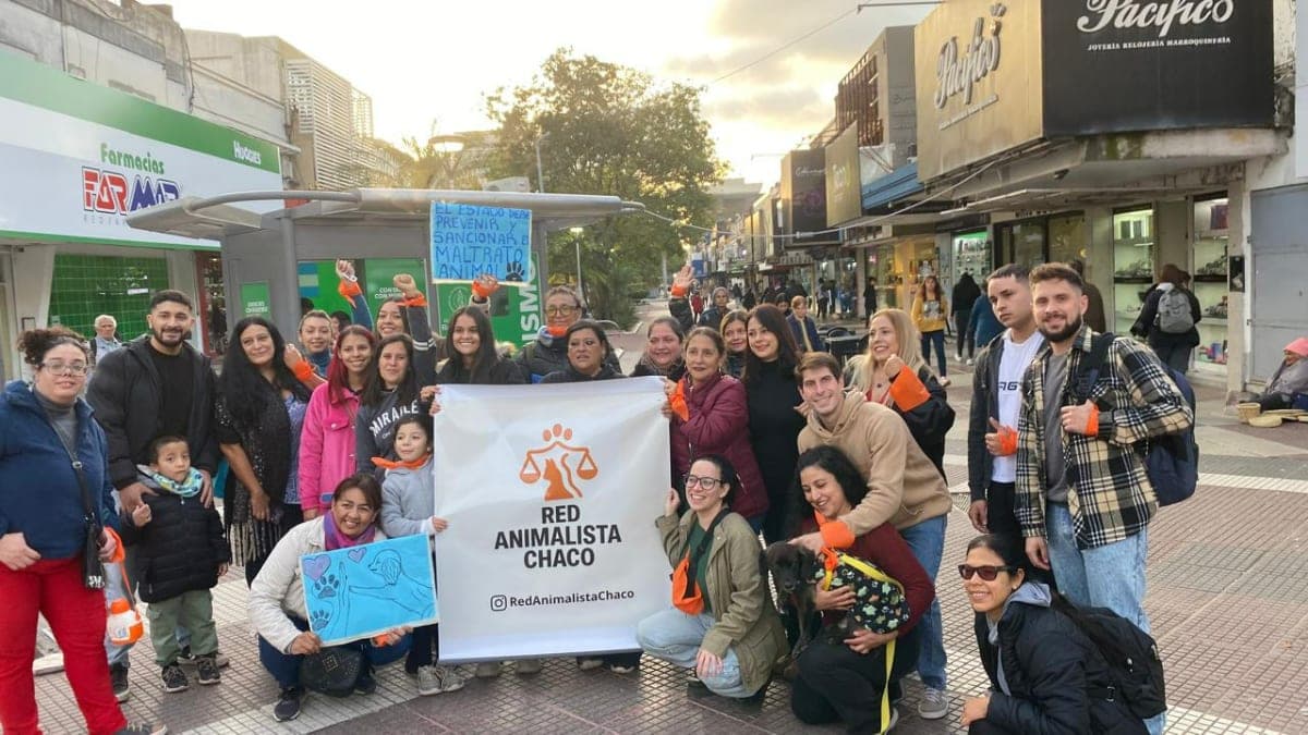 Más de 20 ONG, Fundaciones y grupos independientes se sumaron a la Red Animalista Chaco