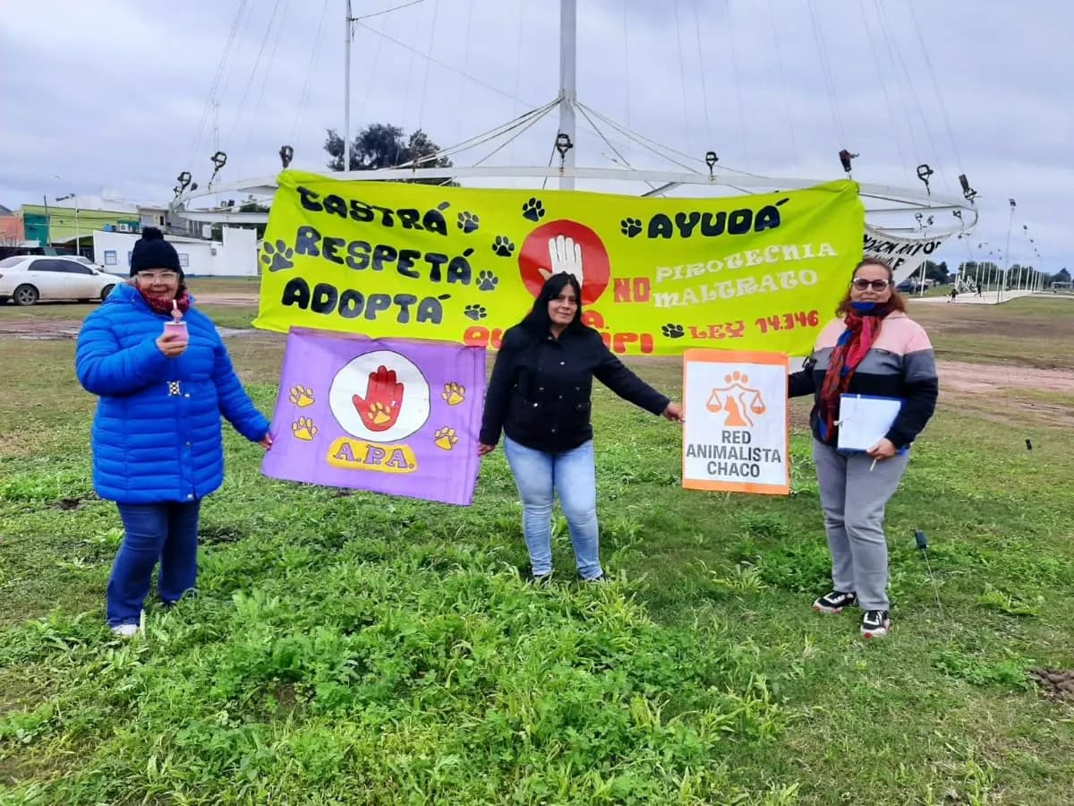 red animalista quitilipi