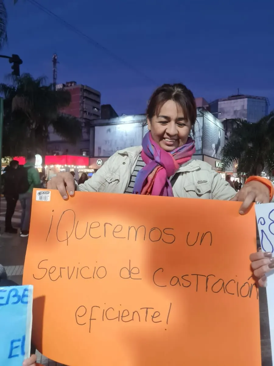 Imagen: Piden la Ley de Esterilizaciones de perros y gatos