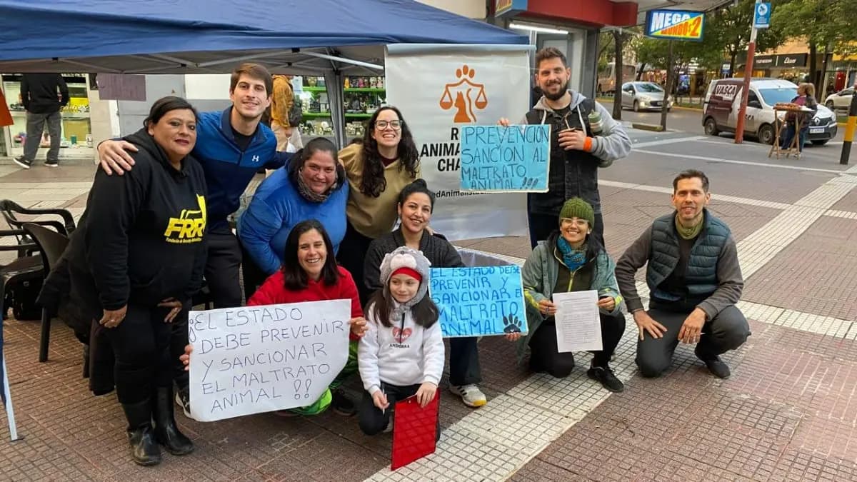 Imagen: Activistas en la segunda convocatoria en Resistencia