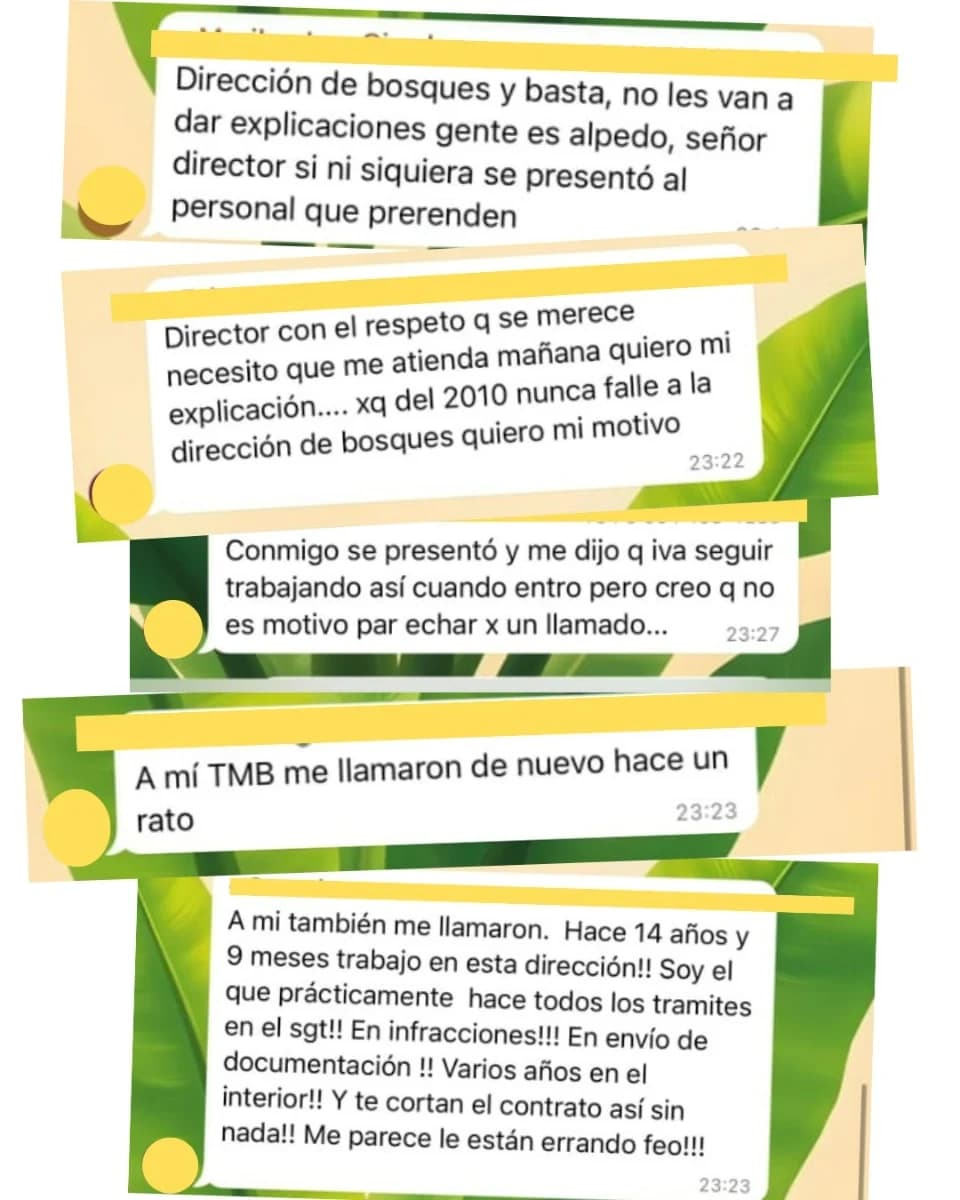 Imagen: Así reaccionaban los trabajadores de la Dirección de Bosques 