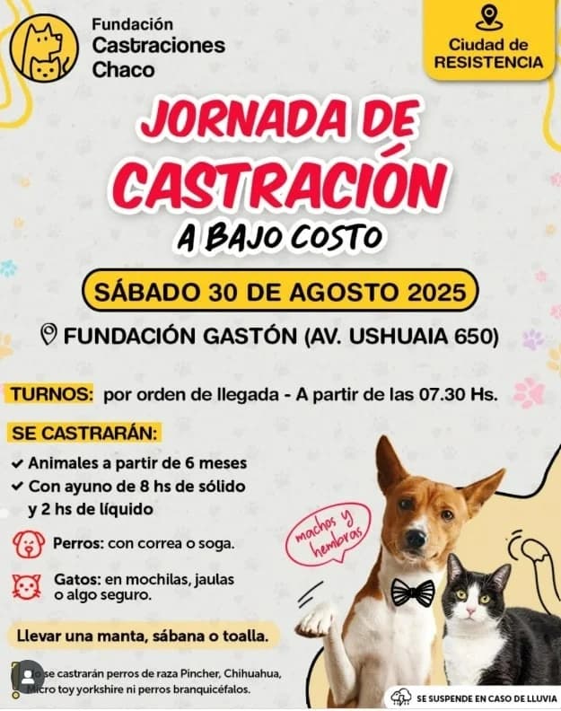 Imagen: Castraciones a bajo costo en Resistencia