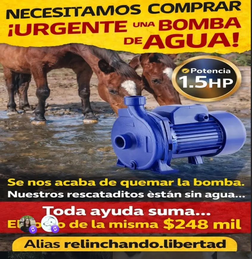 Imagen: Afiche de difusión. Gentileza: IG Fundación FRRE