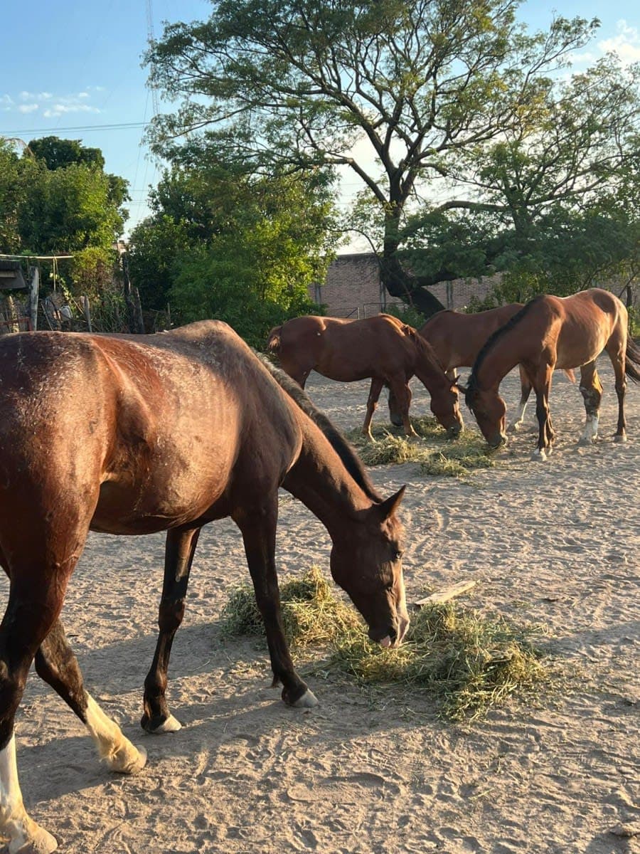 Imagen Archivo. Fundación FRRE